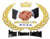 PRIVAT FINANCE VISION GROUP (PFVG)