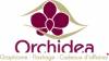 ORCHIDEA