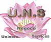 UNIVERS  NEGOCE & SERVICES