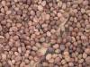 Amandes de karite