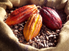 Cacao