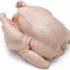 Poulet