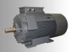 Moteur electrique