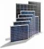 Module solaire monocristallin 