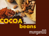 Fèves de cacao