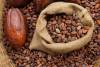 Cacao en vente