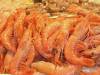 Crevettes blanches