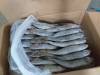 Stock de poisson
