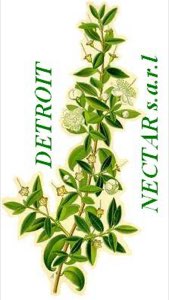 DETROIT NECTAR S.A.R.L