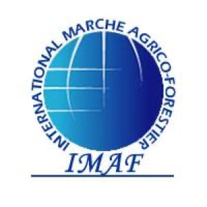 IMAF