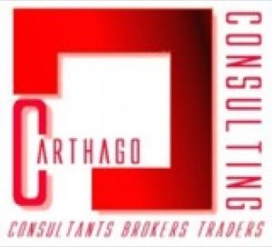 CARTHAGO CONSULTING LTD