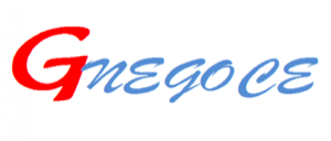 SOCIéTé GNEGOCE