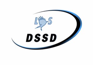 DSSD