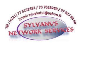 SYLVANUS NETWORK SERVICES 