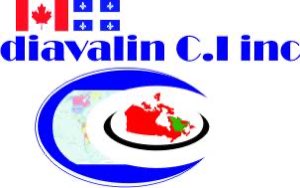 DIAVALIN COMMERCE INTERNATIONAL INC