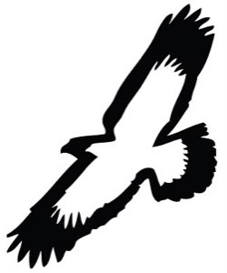 EAGLE TRADING