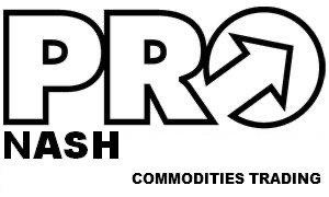 PRONASH ENTERPRISES