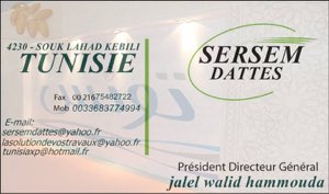 SERSEM-IJW