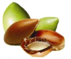 TIGONTAF ARGANE
