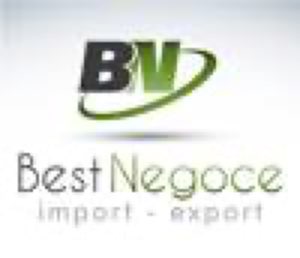 BEST NEGOCE