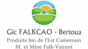 FALKCAO