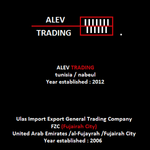 ALEV TRADING