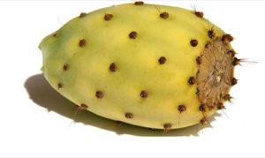 SAIDALOEVERA