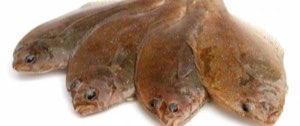 A F I  ATLANTIC FISH INTERNATIONAL 