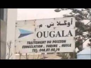 OUGALA S.A.R.L.
