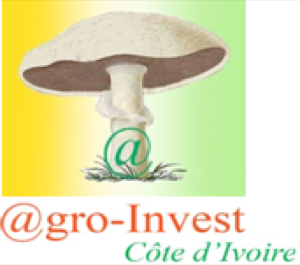 @GRO-INVEST COTE DIVOIRE