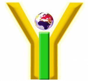 YES INTERNATIONAL