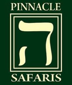 PINNACLE ASSOCIATES LTD