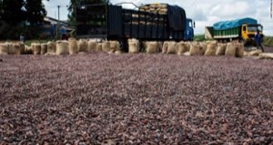 ASSOCAFECACAOIVOIRE