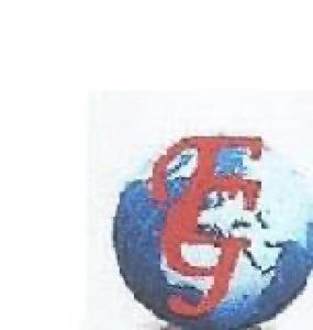 FIELCOM INTERNATIONAL