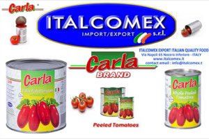ITALCOMEX IMPORT EXPORT SRL