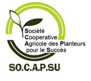 SOCAPSU- COOP CA