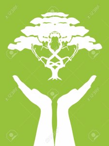 SAHEL CROPS LLC