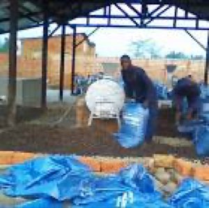 AGETRAM PALM OIL