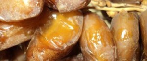 SMIDA DATTES