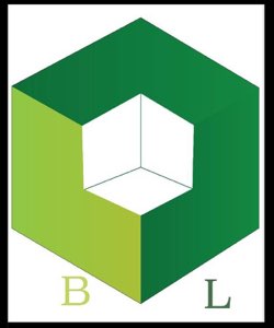 BUSINESS LINKS GROUP