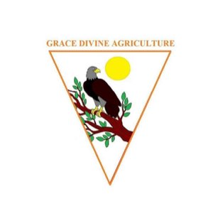 GRACE DIVINE AGRICULTURE SARL