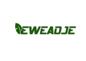 EWEADJE SARL