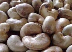 AGRICOM SARL