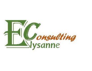 ELYSANNE CONSULTING IMPORT &AMP; EXPORT