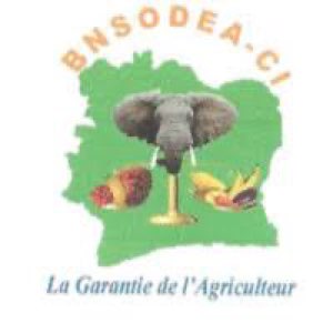 BNSODEA