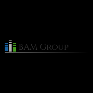 BAM GROUP 