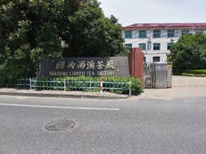 SHAOXING LIANGXI TEA FACTORY