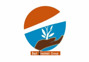 BEST INVESTMENT GROUP