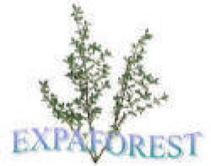 EXPAFOREST SARL