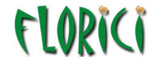FLORICI